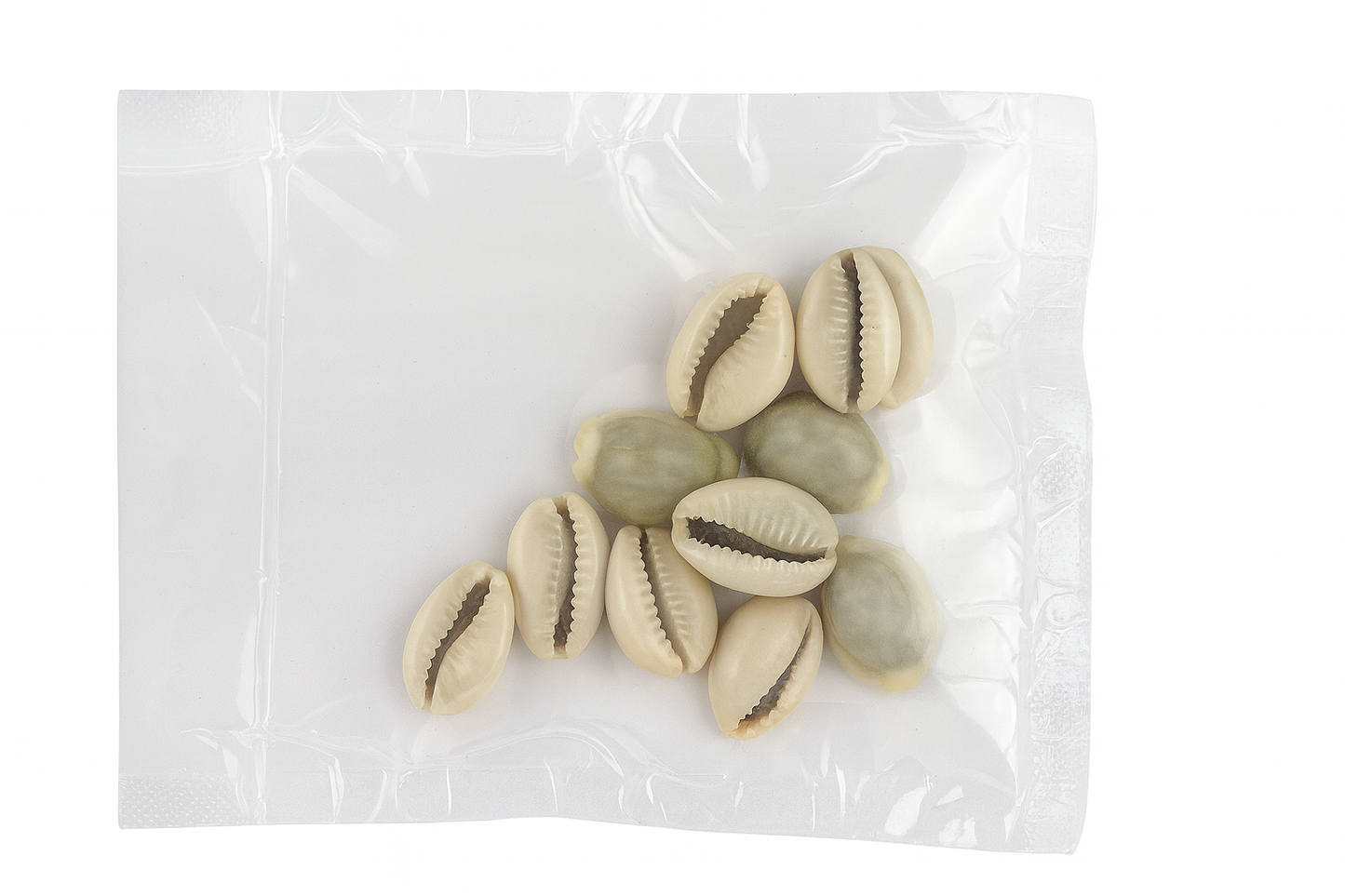 Cowrie Shells Pooja (Pack of 10 pcs)