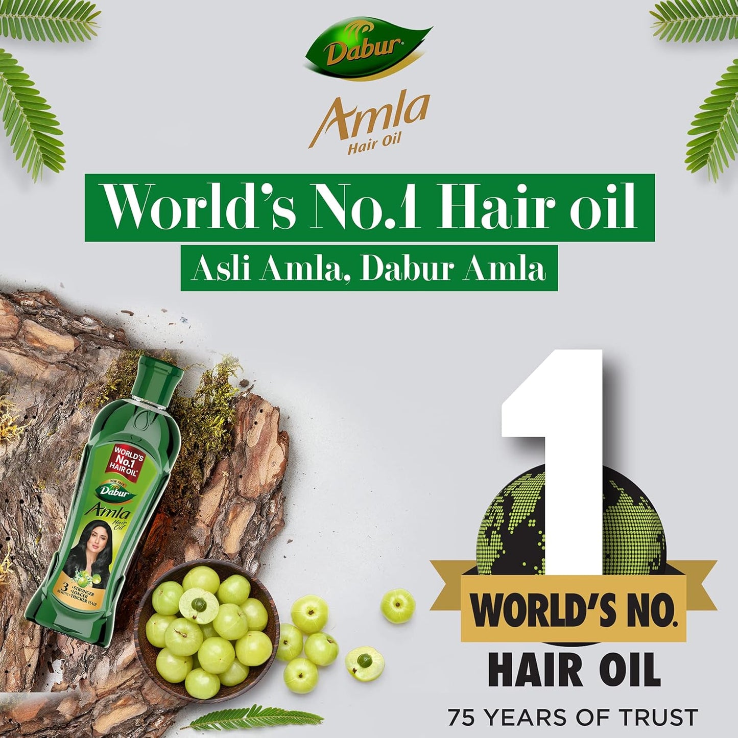 Dabur Amla 450ml