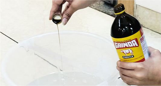 Gainda Phenyle 500ml