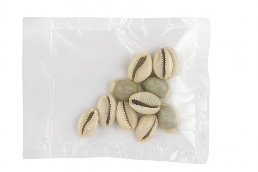 Cowrie Shells Pooja (Pack  of 10 pcs)