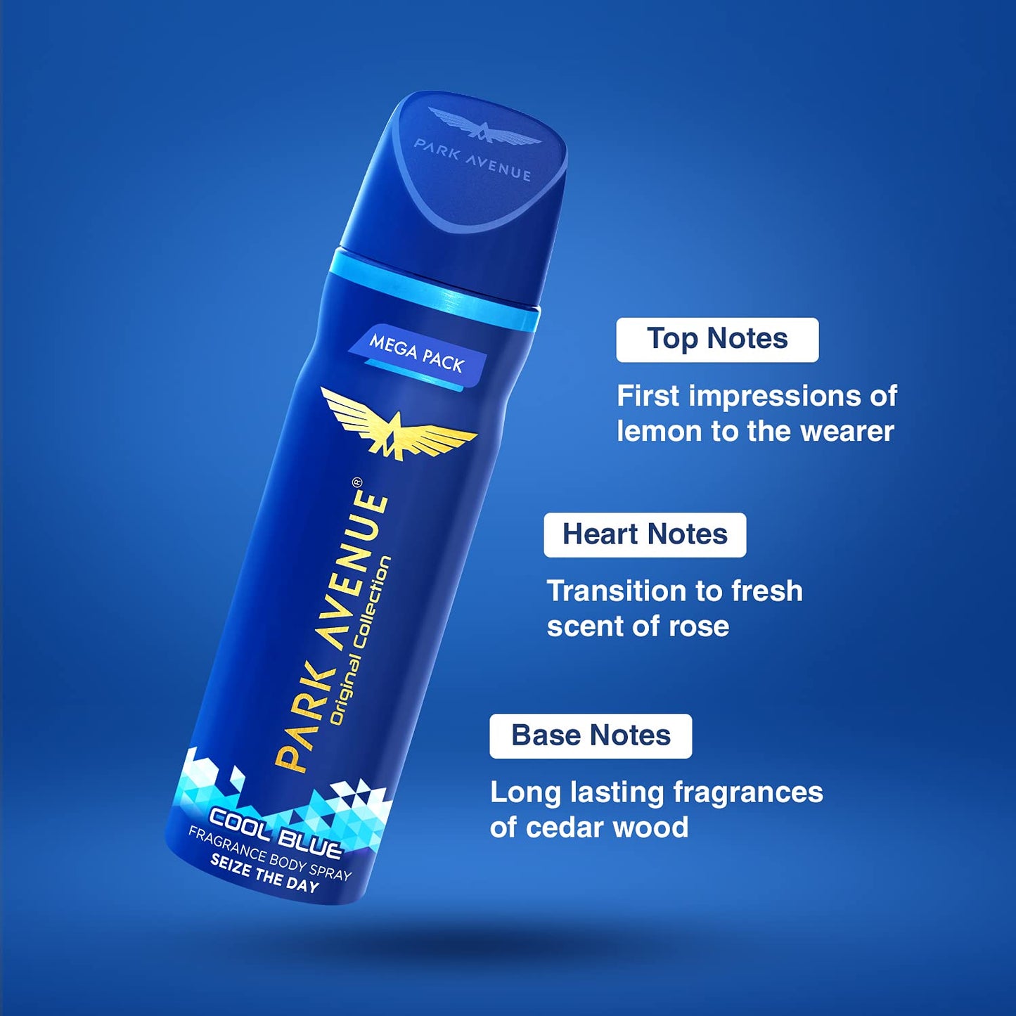 Park Avenue Cool Blue  150ml