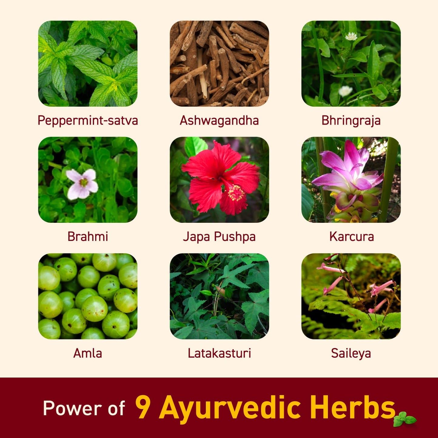 Navratna Ayurvedic Oil 300ml