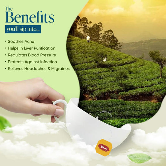 Leeford Winty Green Tea (30N X 1.7g EACH)